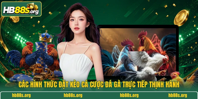 Các hình thức đặt kèo cá cược đá gà trực tiếp thịnh hành