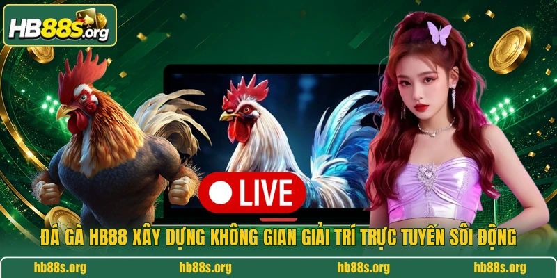 Đá gà HB88 xây dựng không gian giải trí trực tuyến sôi động