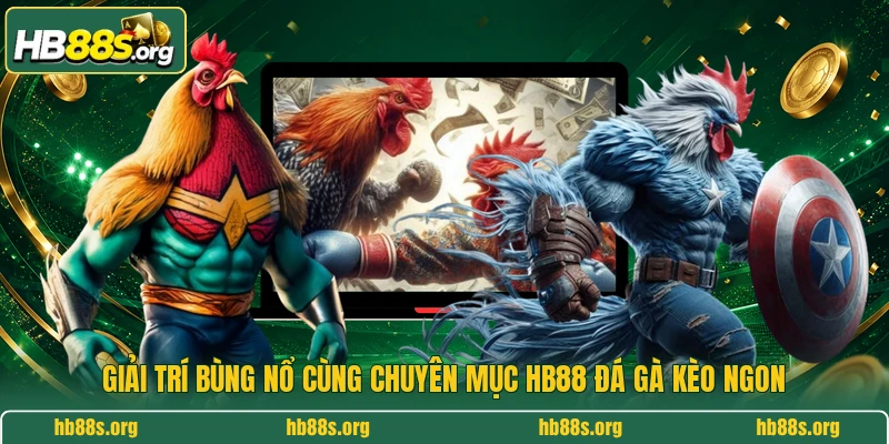 Giải trí bùng nổ cùng chuyên mục HB88 đá gà kèo ngon