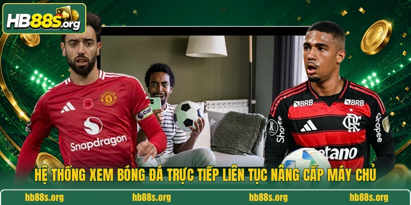 Hệ thống xem bóng đá trực tiếp liên tục nâng cấp máy chủ