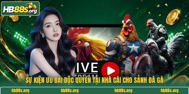Sự kiện ưu đãi độc quyền tại nhà cái cho sảnh đá gà