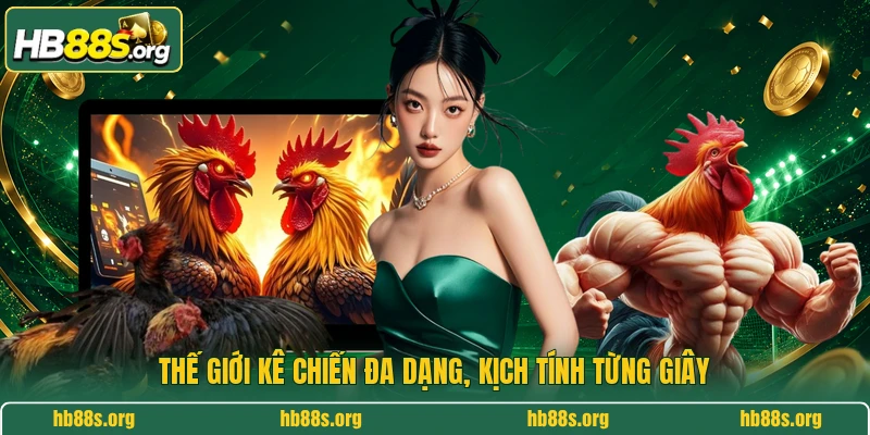 Thế giới kê chiến đa dạng, kịch tính từng giây 