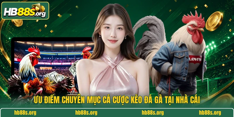 Ưu điểm chuyên mục cá cược kèo đá gà tại nhà cái