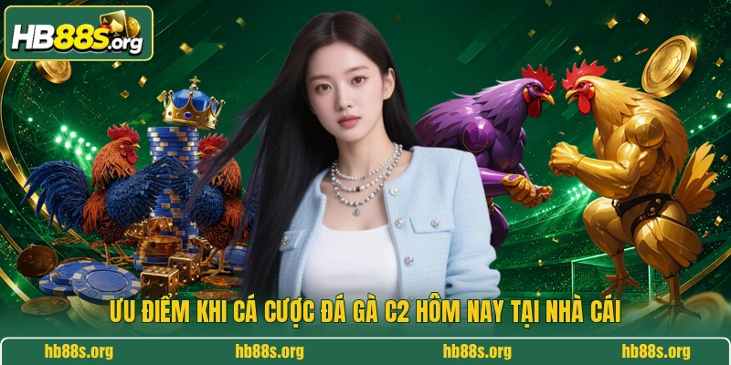 Ưu điểm khi cá cược đá gà C2 hôm nay tại nhà cái
